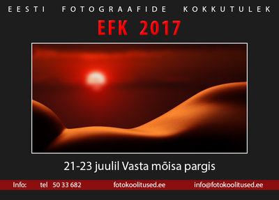 EFK 2017 plakat.jpg