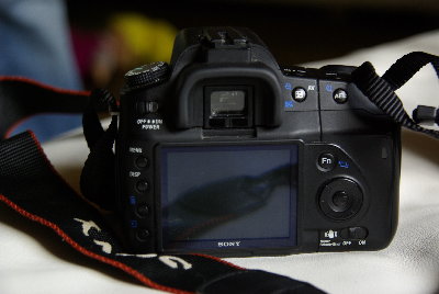 _IGP1266.JPG